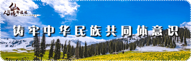 那拉提冬季自驾游办理新变化:线下即时办理,自驾注意事项请查收!