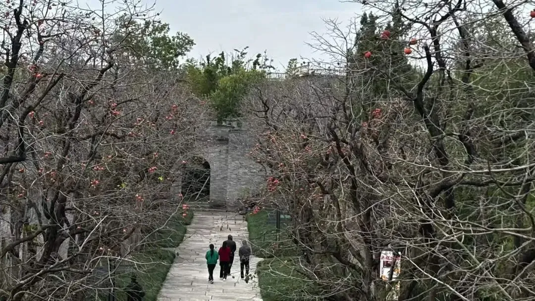 回归本真:撕开旅游乱象的遮羞布