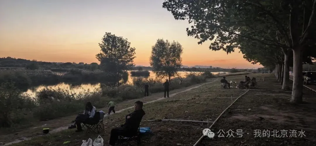 自驾游:滹沱河暮色、生态岛小鸭、乡与集夜游—石家庄国庆游之四