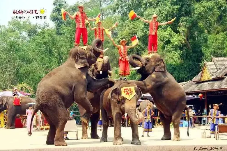 2026年值得参考的云南旅游实用攻略体验分享
