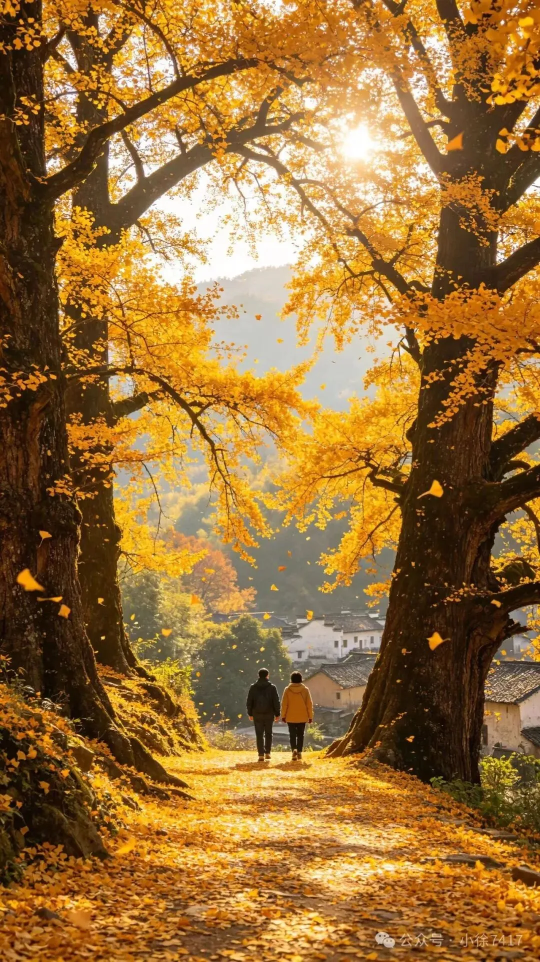 千年银杏谷文化旅游区:湖北这个宝藏山谷,去过才知道有多治愈