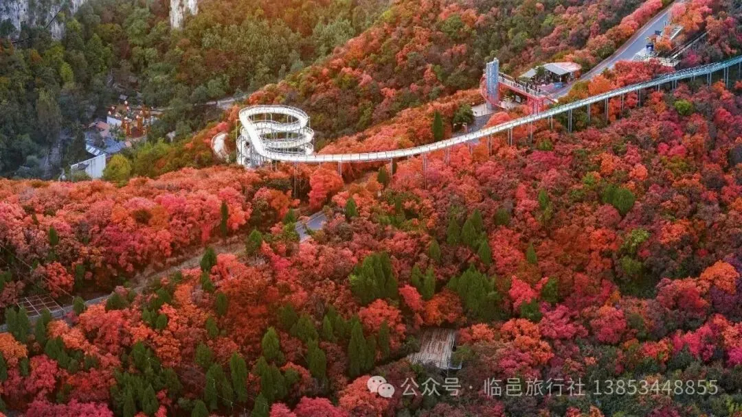 康辉旅游秋假红叶柿岩一日游