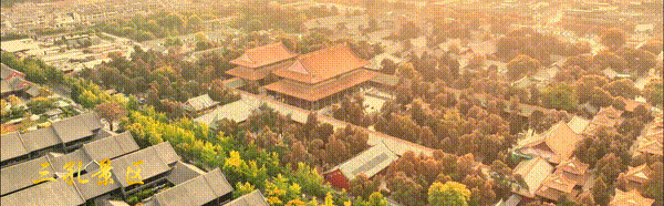 周末游玩攻略|岁末冬深,这个周末一起体验“冰天雪地”的奇妙魅力吧