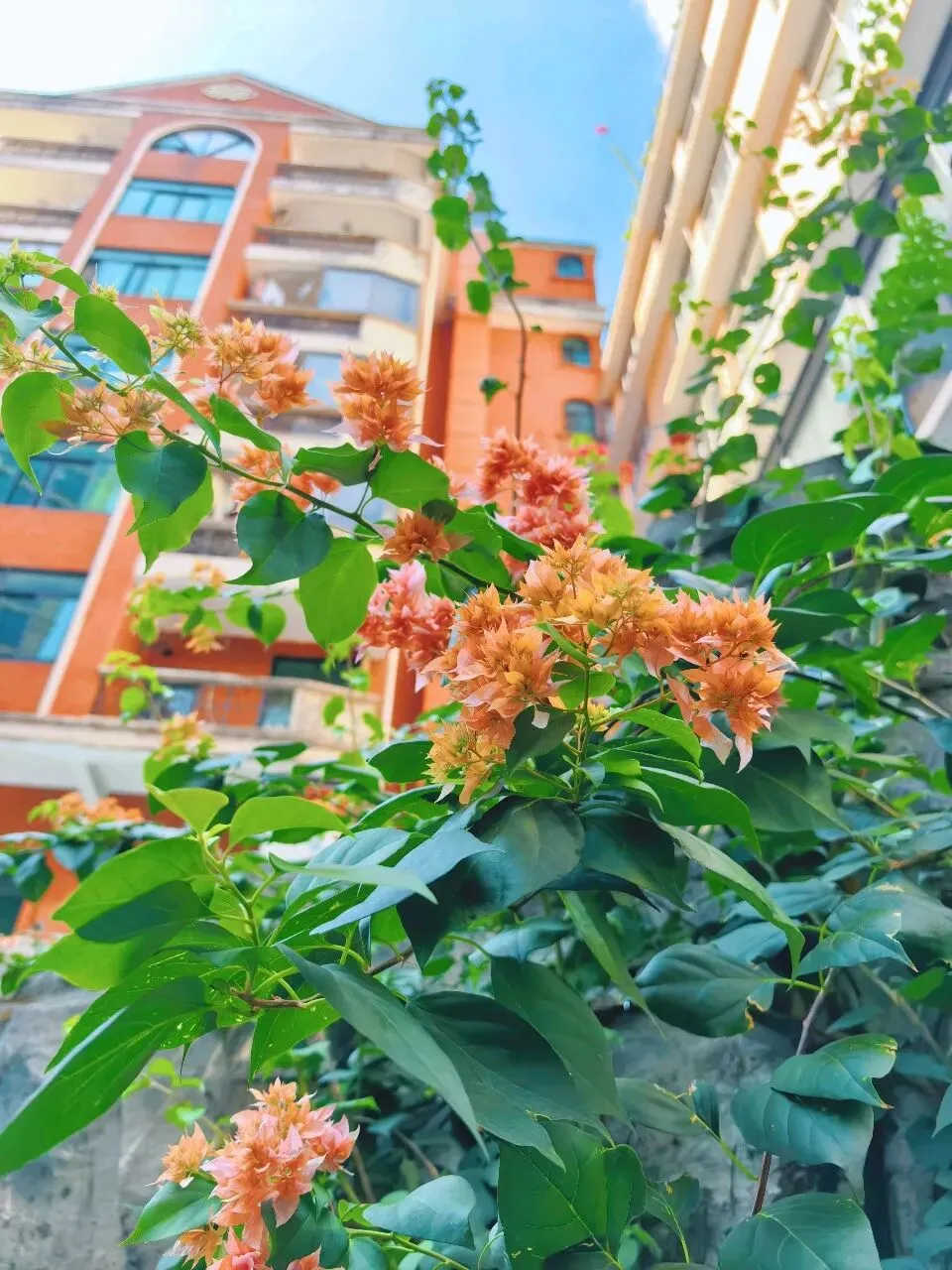 退休后要做的五件事,不是旅游不是躺平,第五件是关键核心