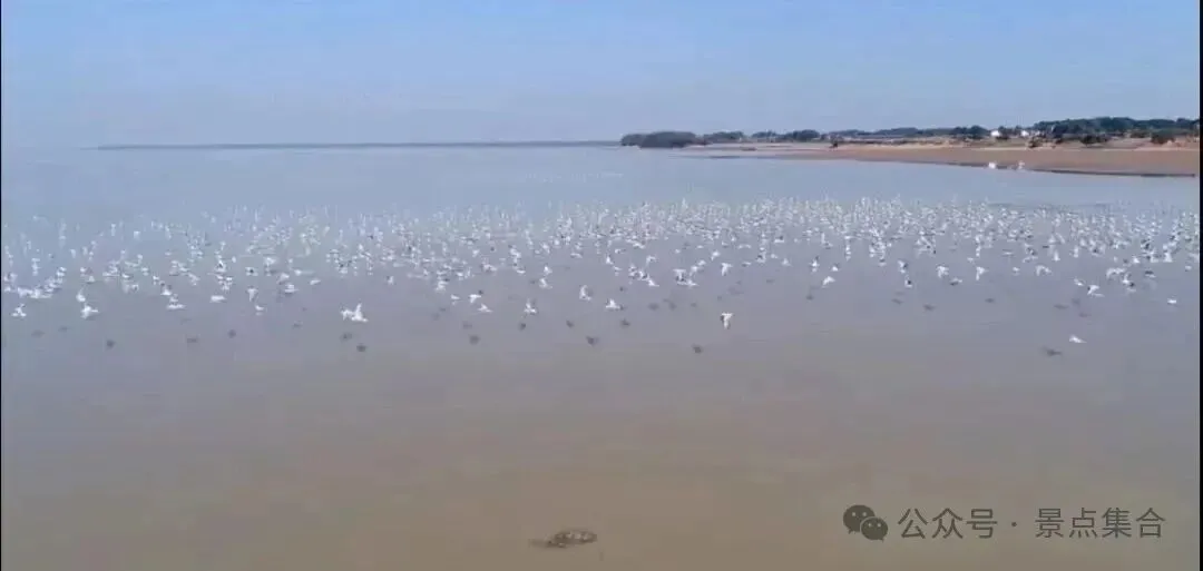 江西4大名湖游玩攻略、鄱阳湖、庐山西海、仙女湖、醉仙湖,一湖一景