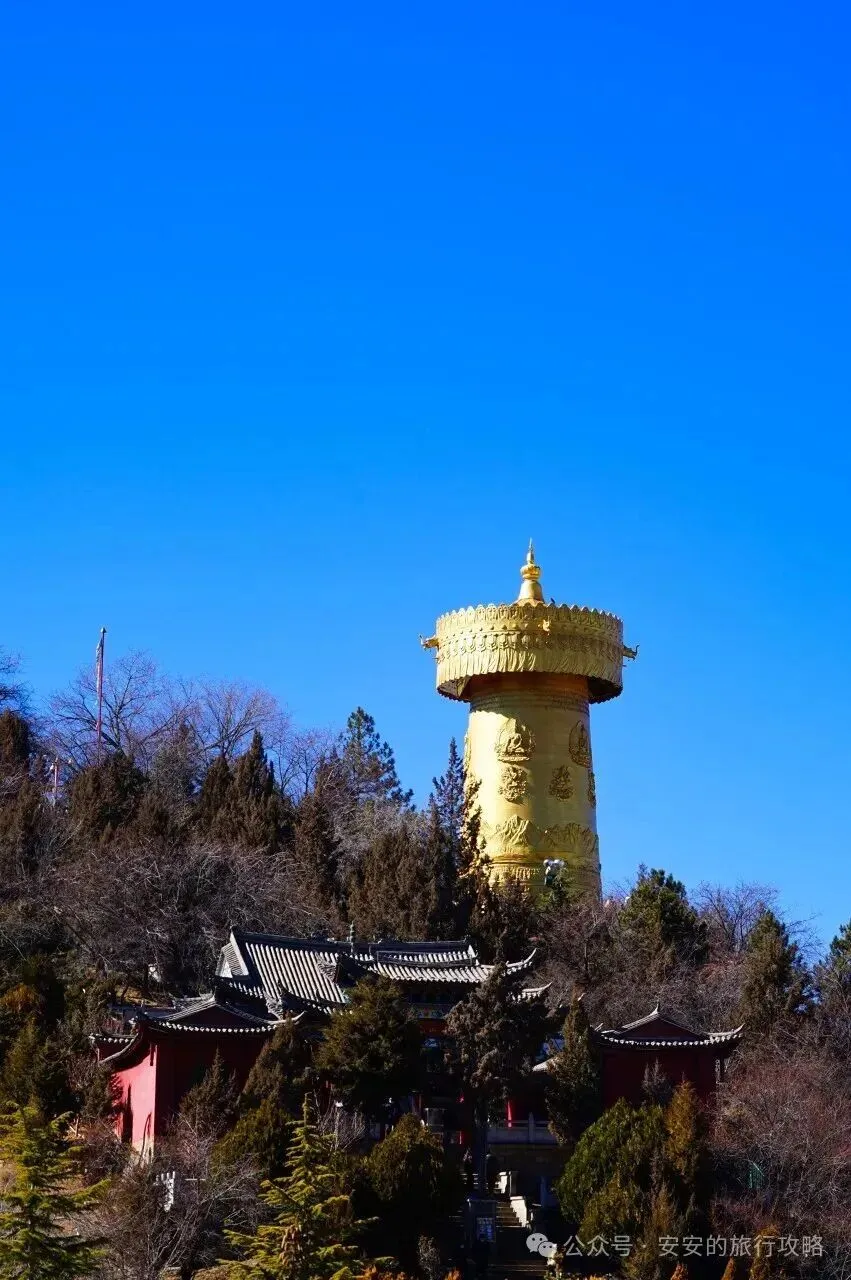 香格里拉→飞来寺日照金山游玩攻略