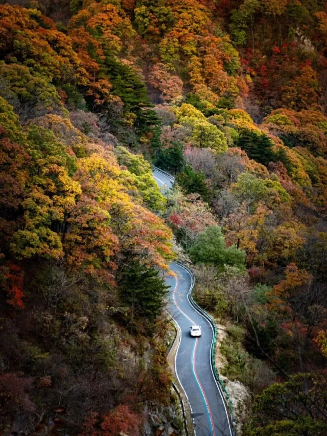 自驾游 || 11月14-16日马丁公路~圣人堂~九资河~河西畈村晒秋~银杏村~杨高山村自驾摄影三日游