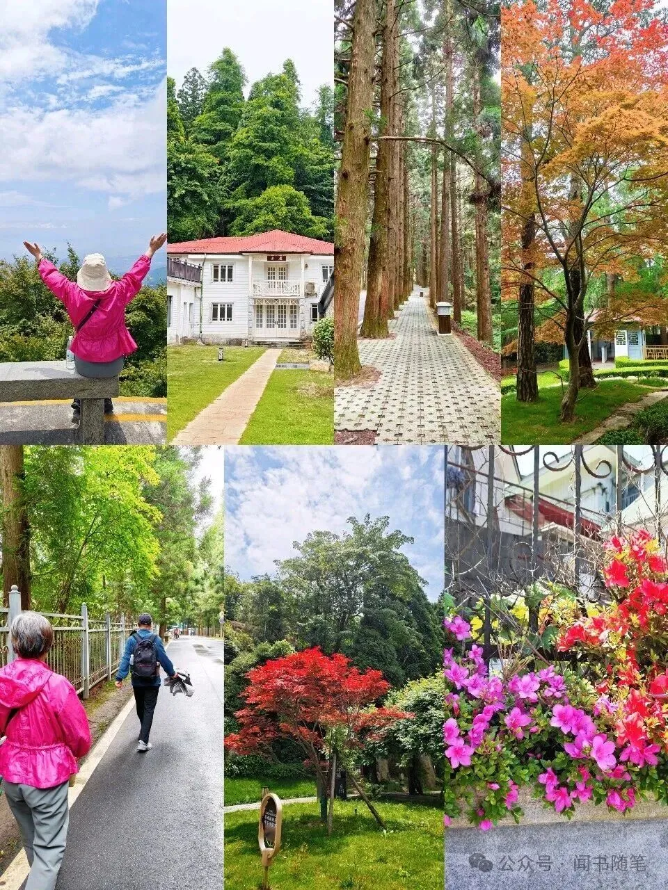 带老人旅游注意事项!(四季版)