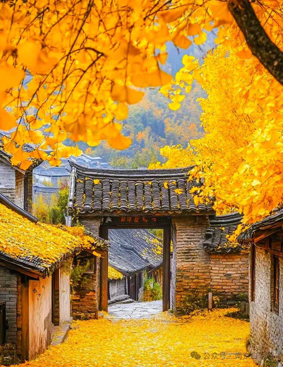 【探寻自驾】11月22日芒市、瑞丽、腾冲、大理等地7日落地