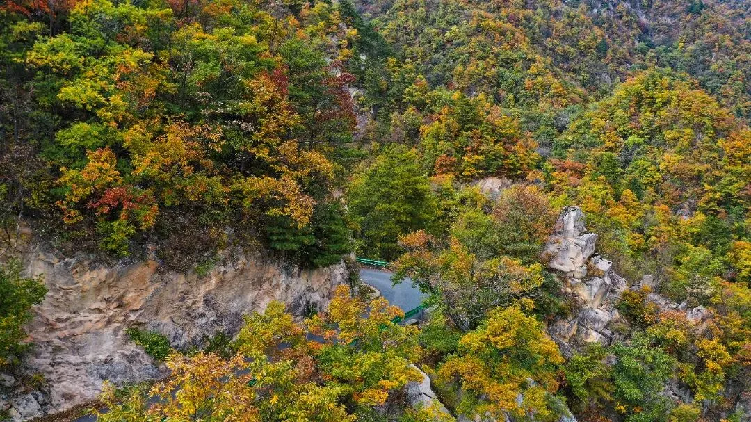 长葛鸿雁旅游·自发团·特价活动 || 老界岭云海彩林梦幻仙境!实地感受南北气候分界线的神奇纯玩一日游