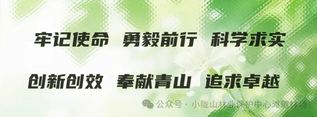 滩歌林场开展“中秋”“国庆”节前慰问暨安全专项督查工作