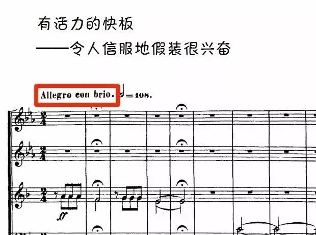 非专业乐谱符号术语图解