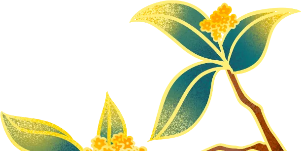 中秋佳节|用乐府歌辞打开不一样的中秋