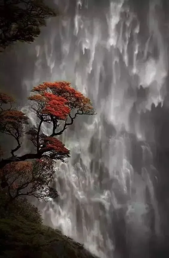 水调歌头·人生如水