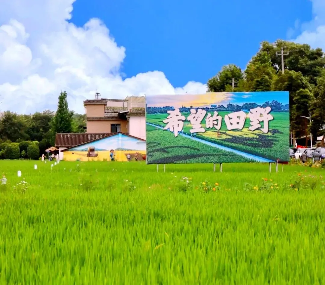 音乐和田园结合的希望的田野,幸福田园详细游览攻略!