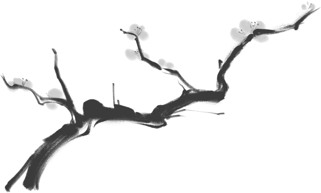 《长江之歌》作者:胡宏伟 诵读:杜媛