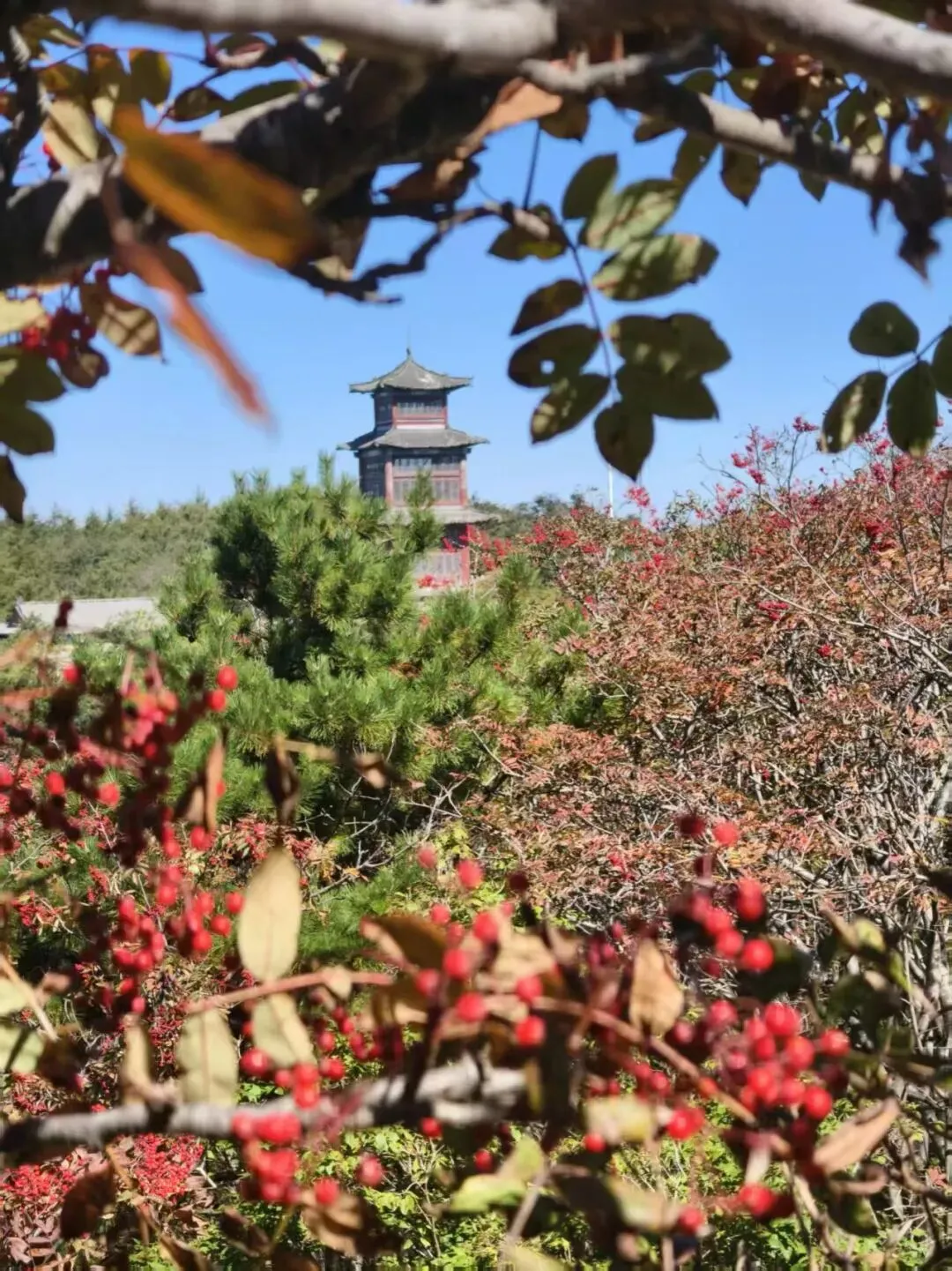 当风长歌:山河里,天地宽