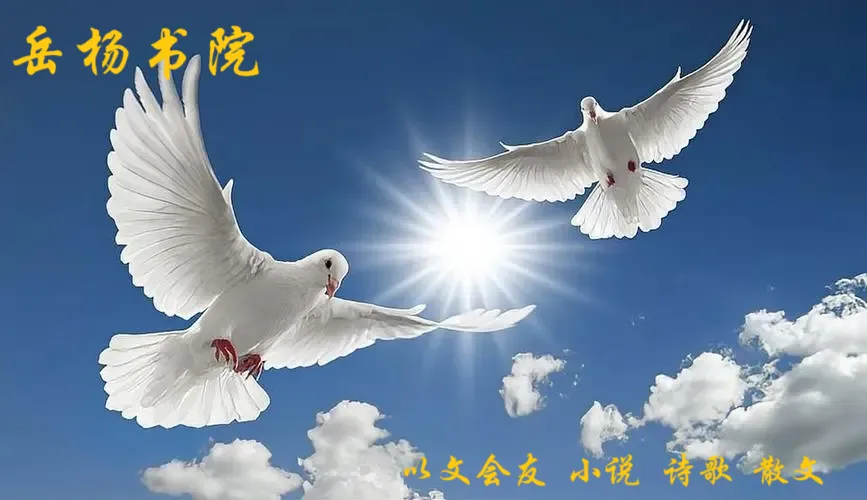 孤麟寰宇客【秋夜幻梦歌】