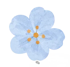 【心理课社团课】音乐与心理|聆听音乐,疗愈心灵