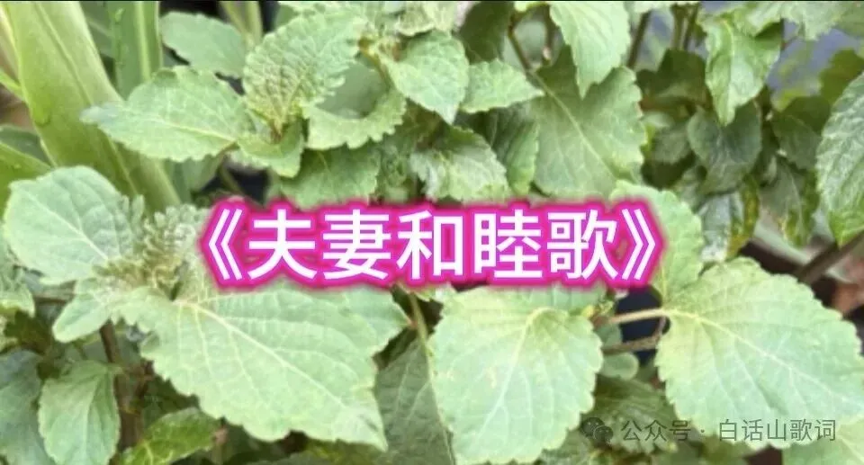《夫妻和睦歌》