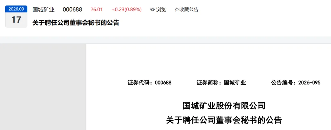 券商投行部高级副总裁出任上市公司董秘!