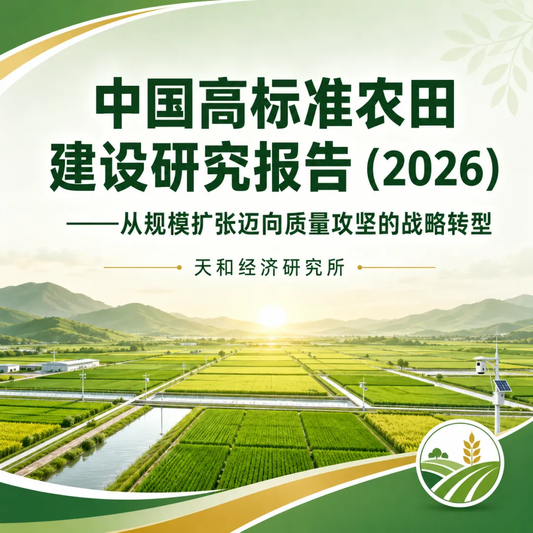 中国高标准农田建设研究报告