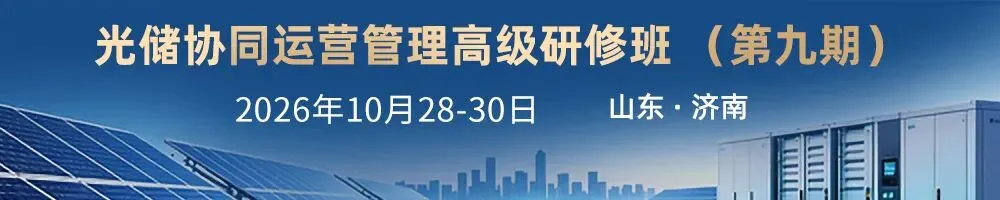 源网荷储一体化项目可行性研究报告.pdf(214页)