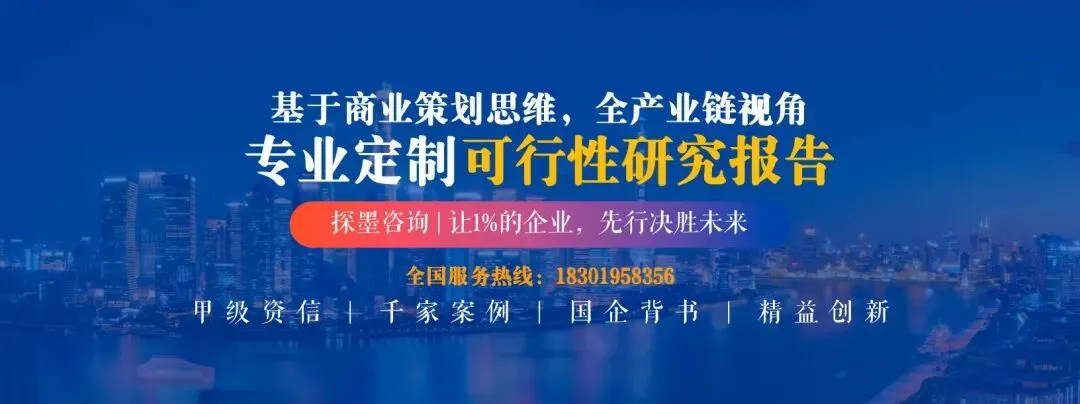 探墨咨询 | 可行性研究报告为什么要交由专业机构撰写?