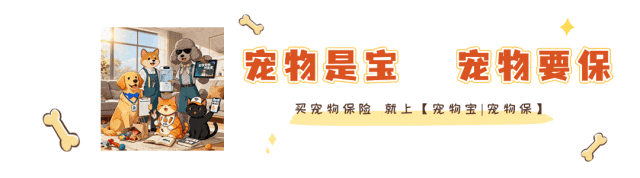 【宠物研报】《宠物行业蓝皮书-2026年中国宠物行业发展报告》(附下载)