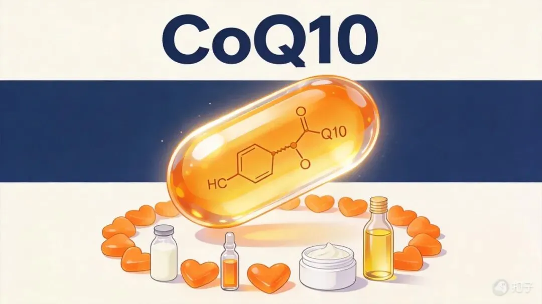 辅酶Q10全球创新与消费趋势调研报告