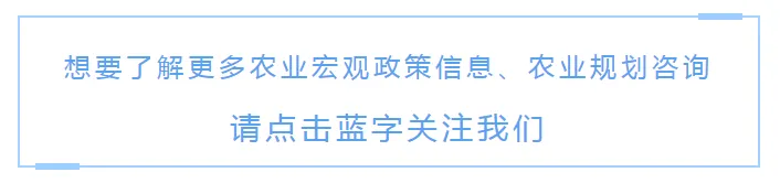 行业趋势 | 从《全国沙棘资源本底调查报告》看我国沙棘产业发展情况