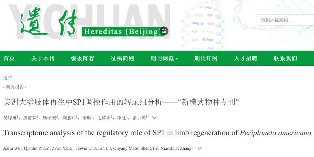 研究报告 | 美洲大蠊肢体再生中SP1调控作用的转录组分析