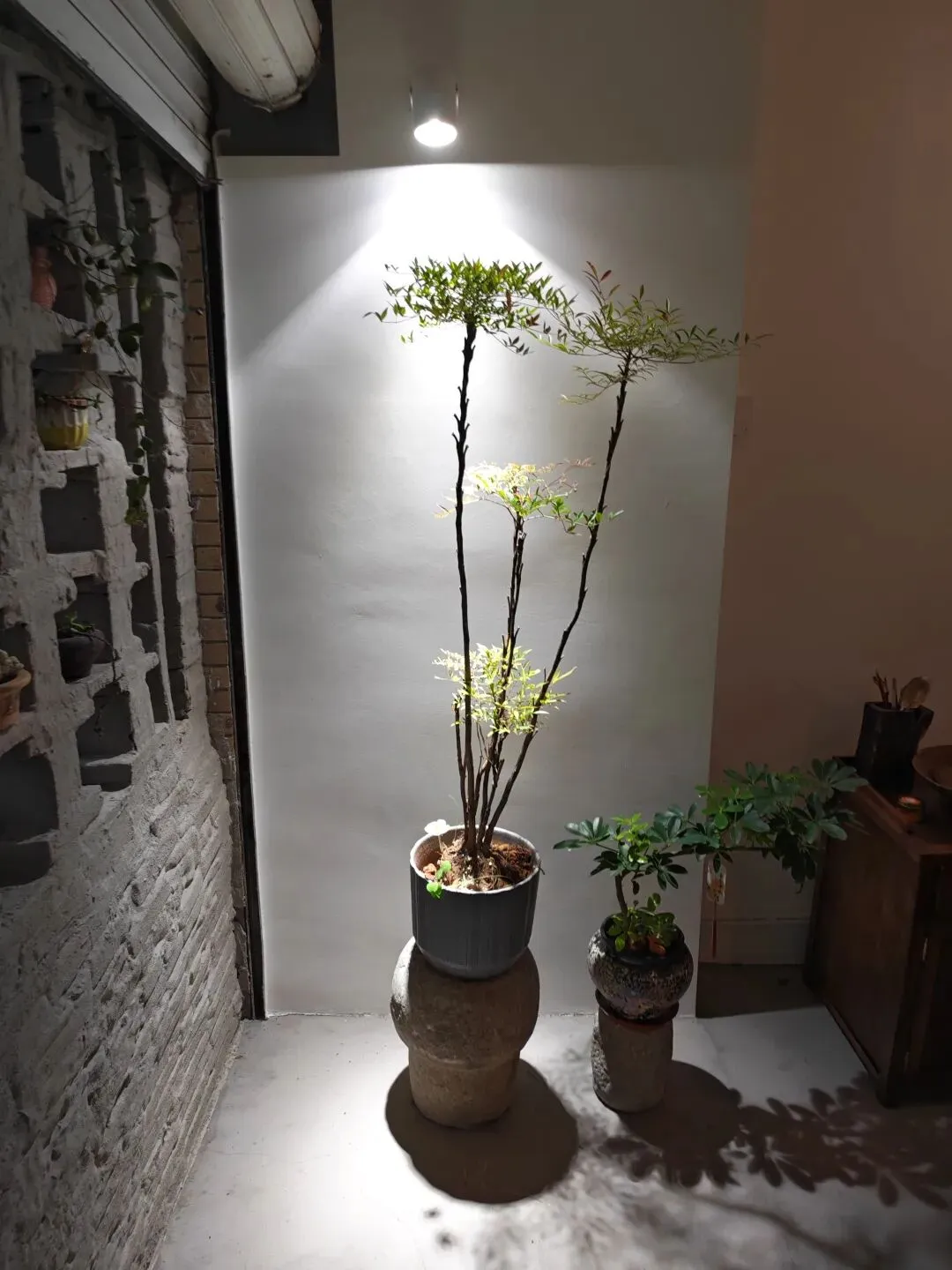 券商资管行业应该处于婴幼儿时期