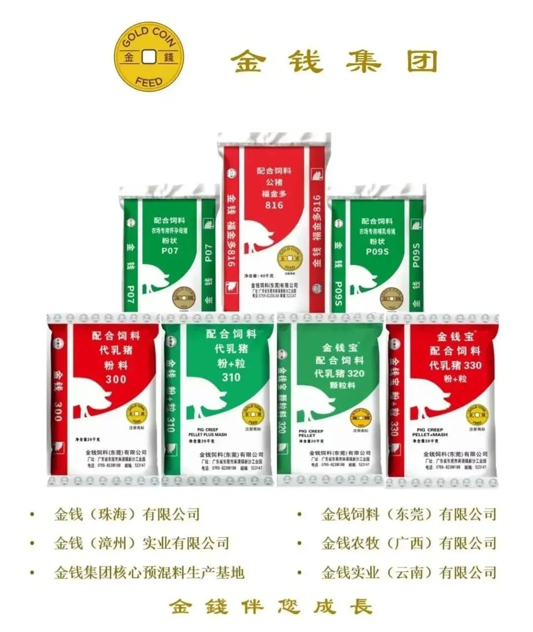安徽省地方猪种产业发展调研报告--风口—中国地方猪种与特色优质猪肉考察(安徽篇)——“金钱集团”【推荐阅读】