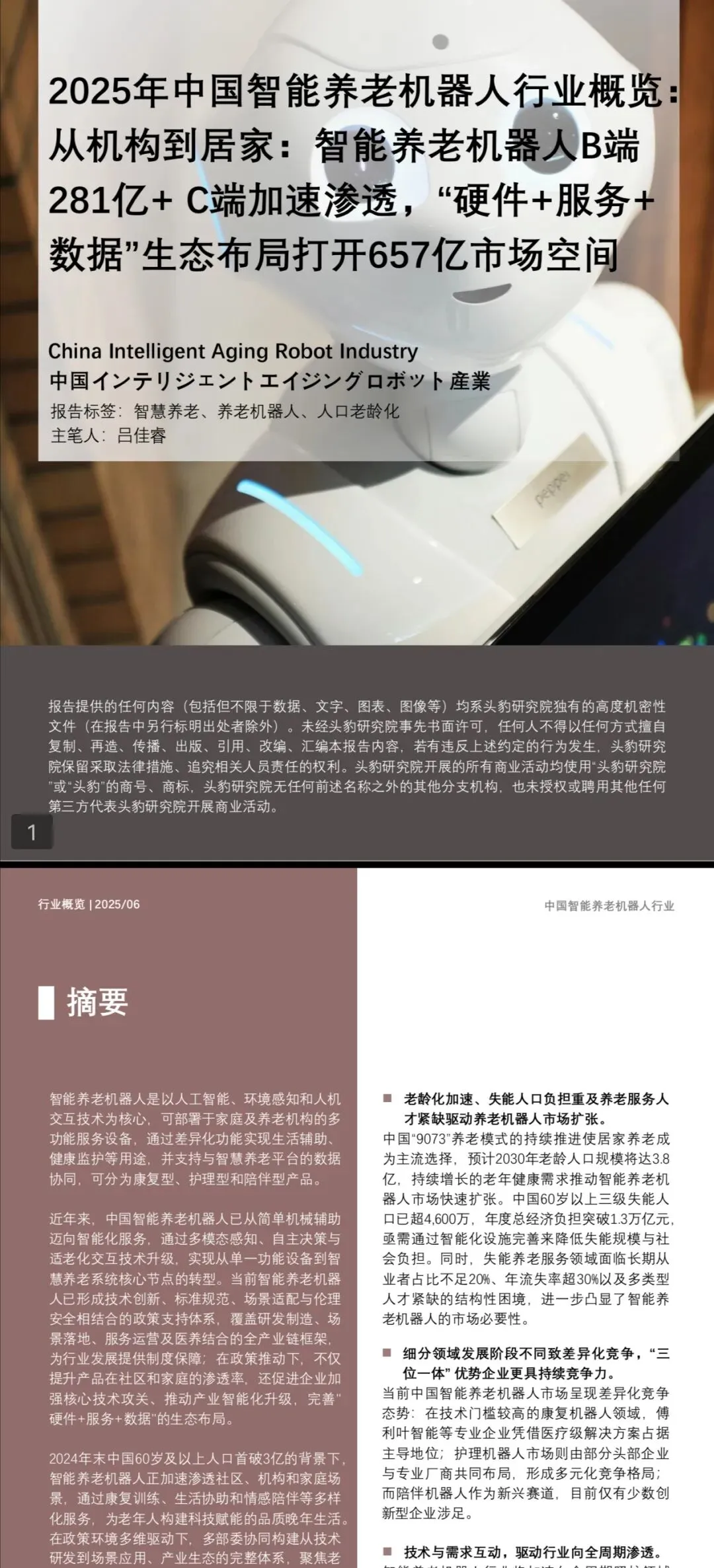 2025年中国智能养老机器人行业研究报告:养老机器人从机构到居家:657亿市场,机会在康复、护理还是陪伴?