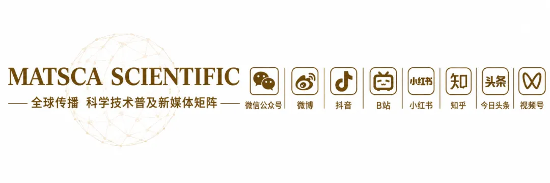 中国类器官培养基质产品市场调研报告