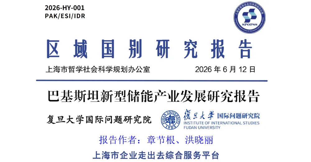 区域国别研究报告①章节根、洪晓丽:巴基斯坦新型储能产业发展