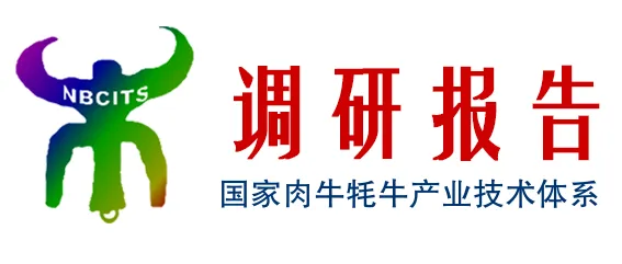 【调研报告】肉牛产业调研报告(2026年9月)