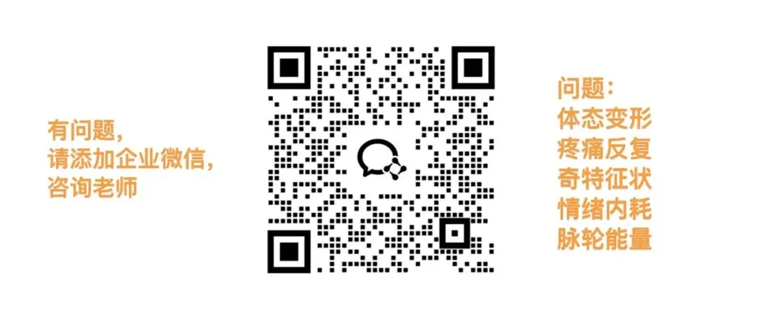 体态与全身症状关联性深度研究报告(公众号系列连载合集1,总纲)