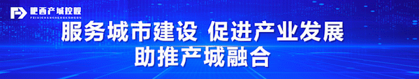 “大兴调查研究”系列报道② | 第二站:迎风奔跑的工投
