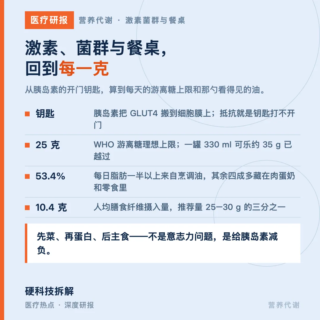 【医疗研报 · 营养代谢 · 篇三】激素、菌群与餐桌:机制回到每一克