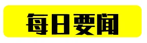 职业举报的政策制度困境与逆向利用机制研究报告