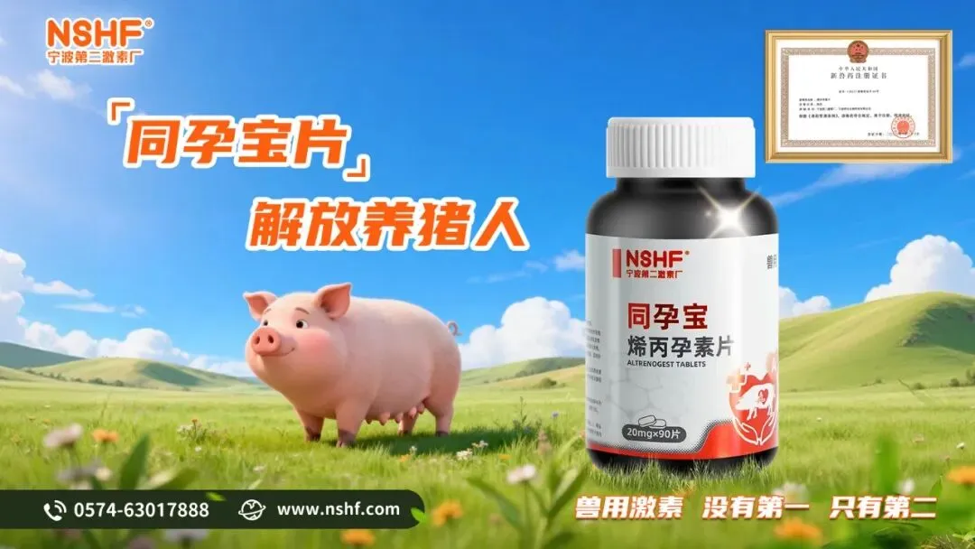 中国地方猪种产业发展研究报告(三)——基于“风口-中国地方猪种与特色优质猪肉考察”项目——宁波第二激素厂【推荐阅读】