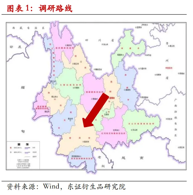 (全文)【调研报告】从种子到杯子,从田间到盘面——云南咖啡产区产业链概况