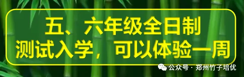 郑东新区热门初中全面分析报告!