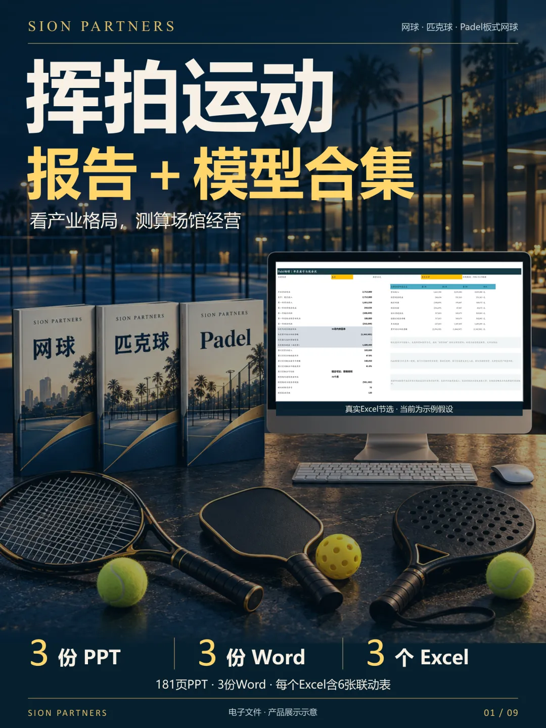 「网球+匹克球+Padel 板式网球」研究报告合集+财务模型合集