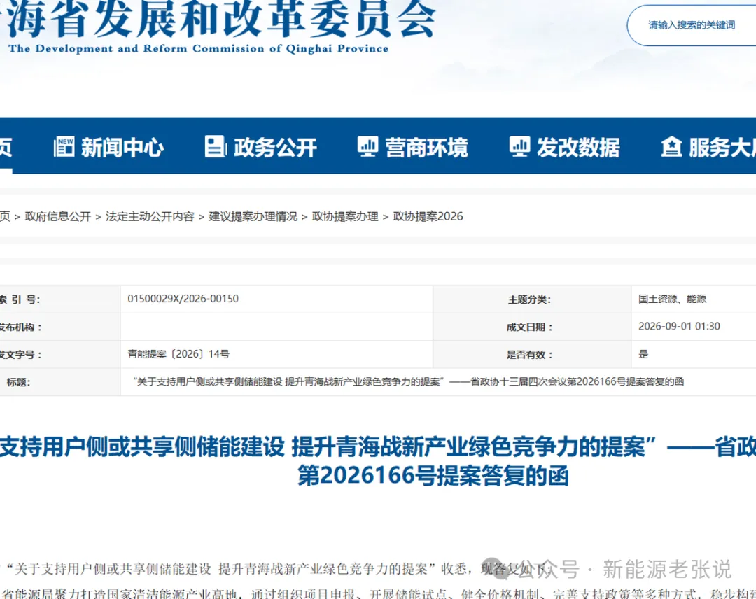 青海省新能源市场调研报告