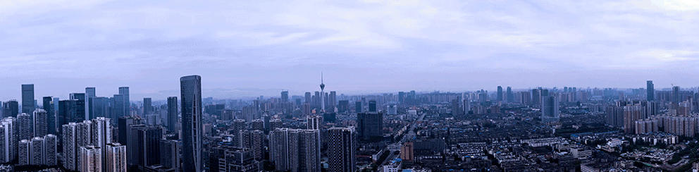 《新时代背景下家庭教育路径及对策研究》阶段成果报告及课题成果转化座谈会在蓉召开