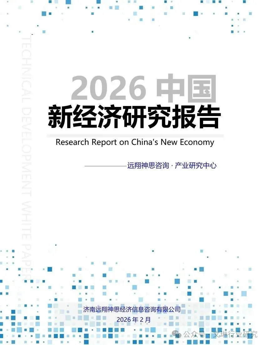 2026年中国新经济研究报告