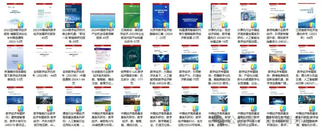 2024年数字经济分析报告(30份)